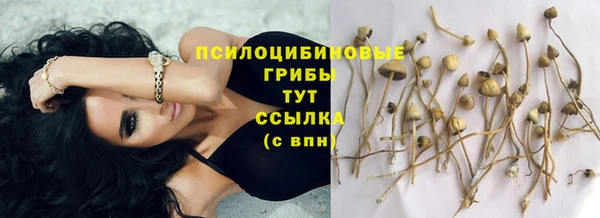 mdpv Новокубанск