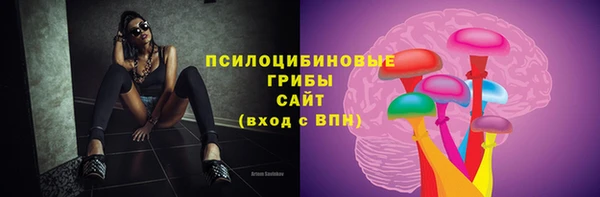 МДМА Новозыбков
