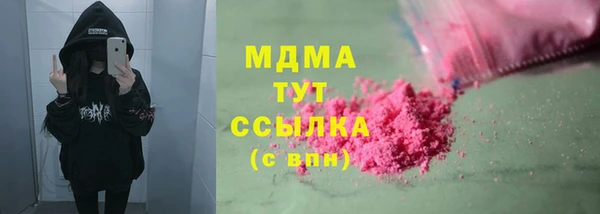 молекула духа Вяземский