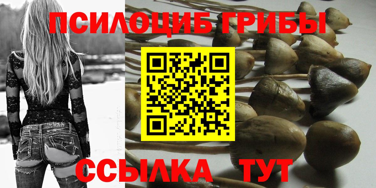 Псилоцибиновые грибы GOLDEN TEACHER  Псилоцибиновые грибы Cubensis  Кировск  Вход с VPN 