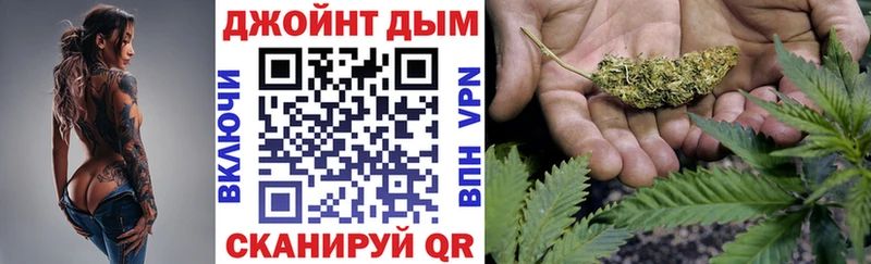 Канабис сатива  где можно купить   Кировск 